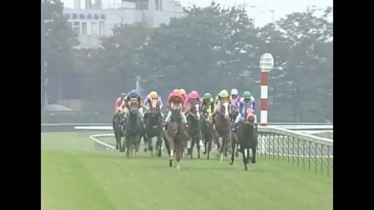 テイエムオペラオー 2000年 第122回天皇賞(秋)(GI) (優勝馬：テイエムオペラオー) (実況：ラジオたんぱ)