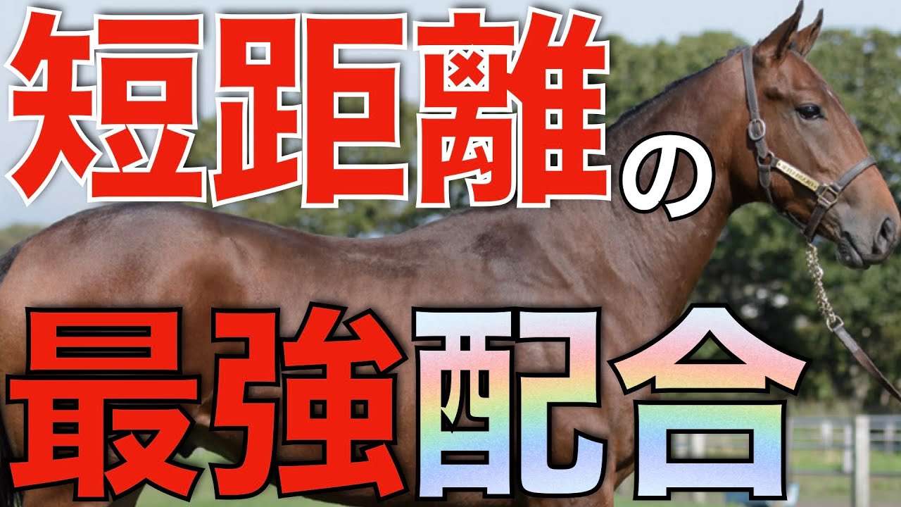 【爆速】やはり短距離ならこの配合が強すぎる！世界進出も見てみたい。