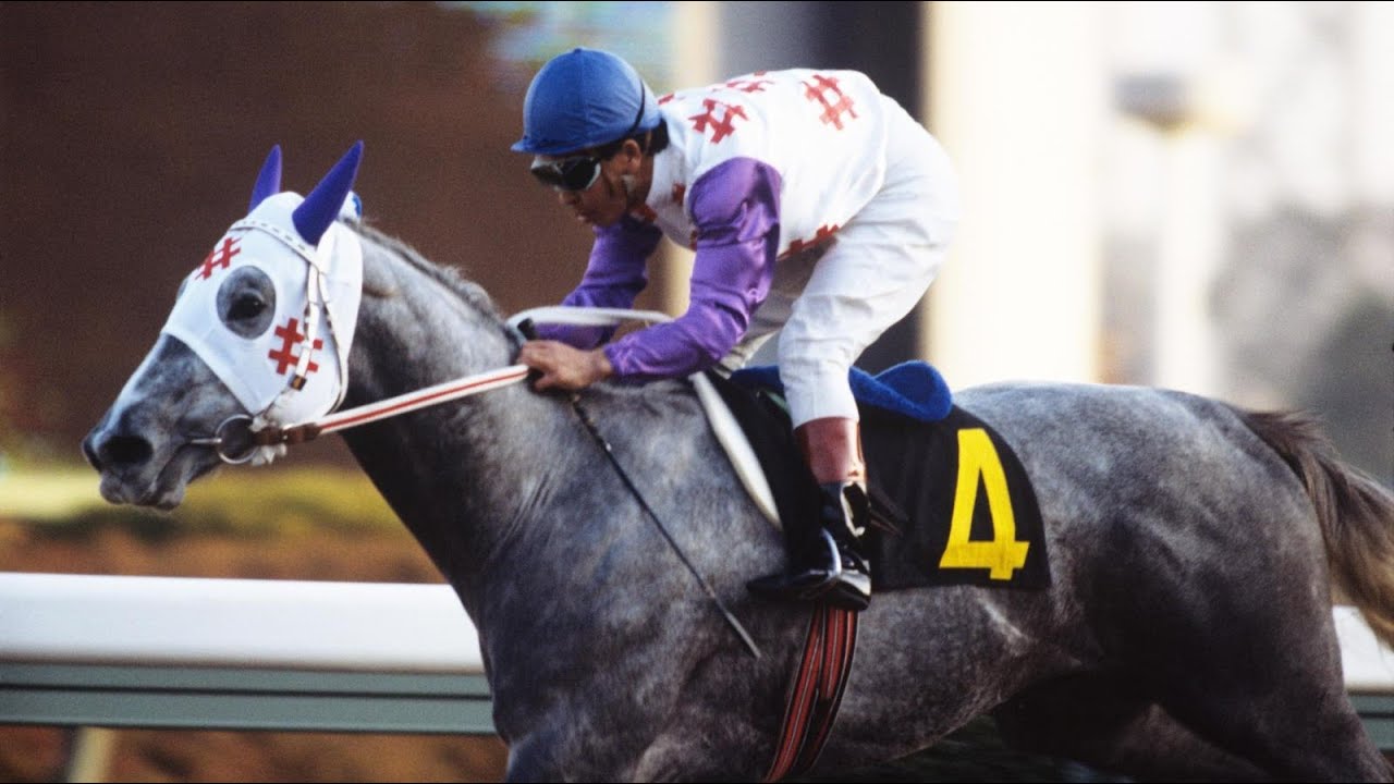 第３７回　朝日杯３歳ステークス （ＧⅠ）　ダイシンフブキ　牡２　54　菅原泰夫　1985.12.15　　出走馬：ダイナコスモス、メイキャリー、ミヤギオウジャ、サクラスパート、カリスタカイザー他