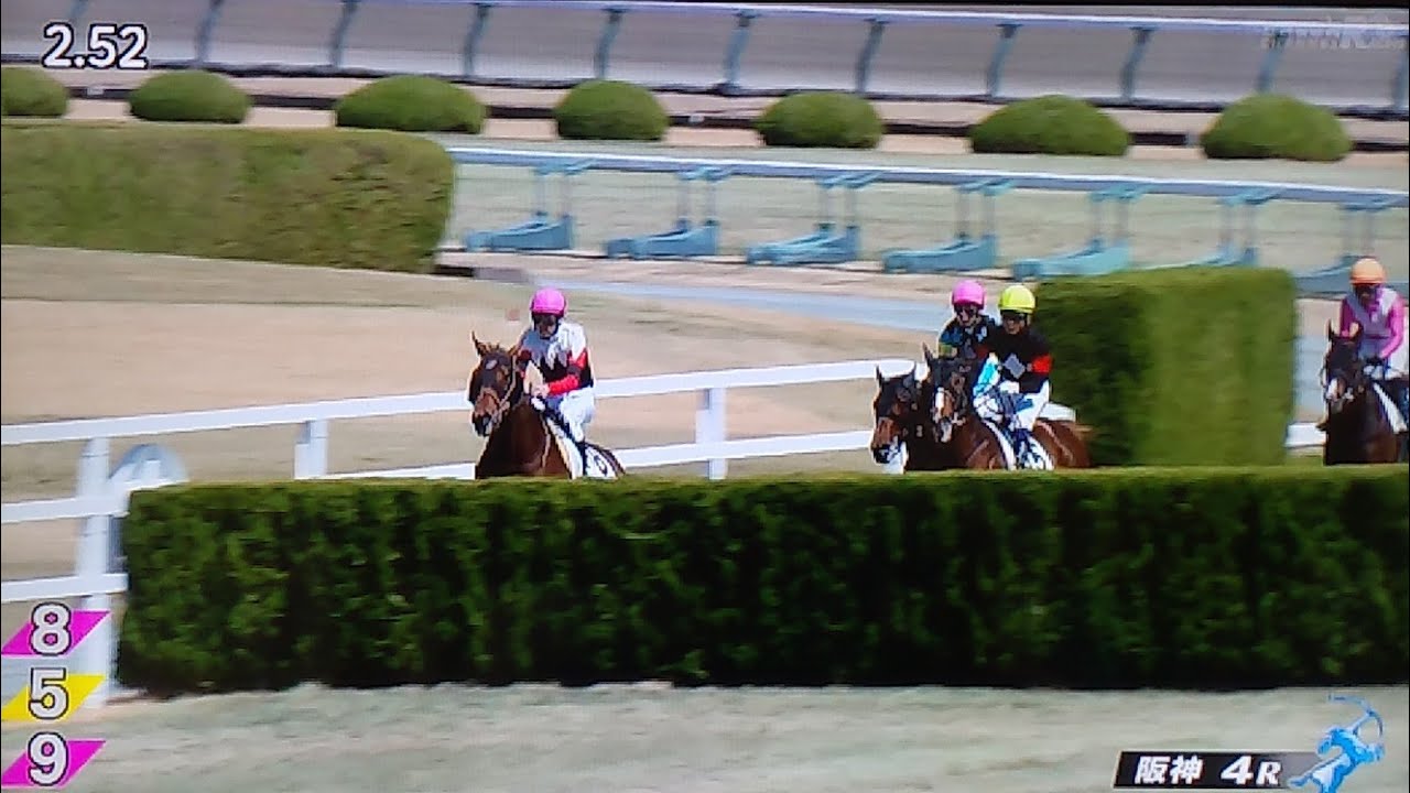 阪神4レース障害未勝利 オラコモエスタス