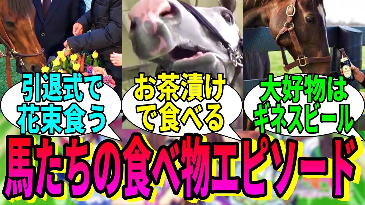 【競馬の反応集】「競走馬の食べ物に関する面白エピソード」に対する視聴者の反応集