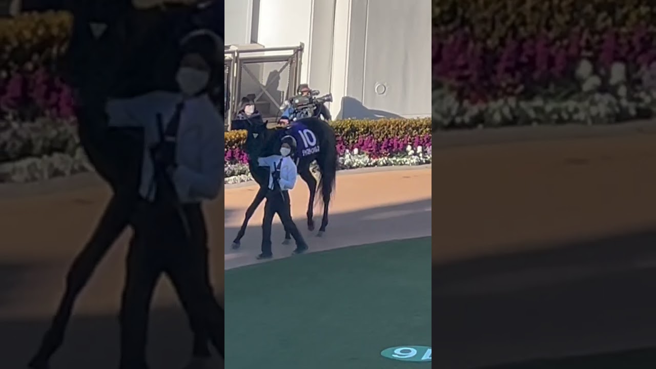 #有馬記念