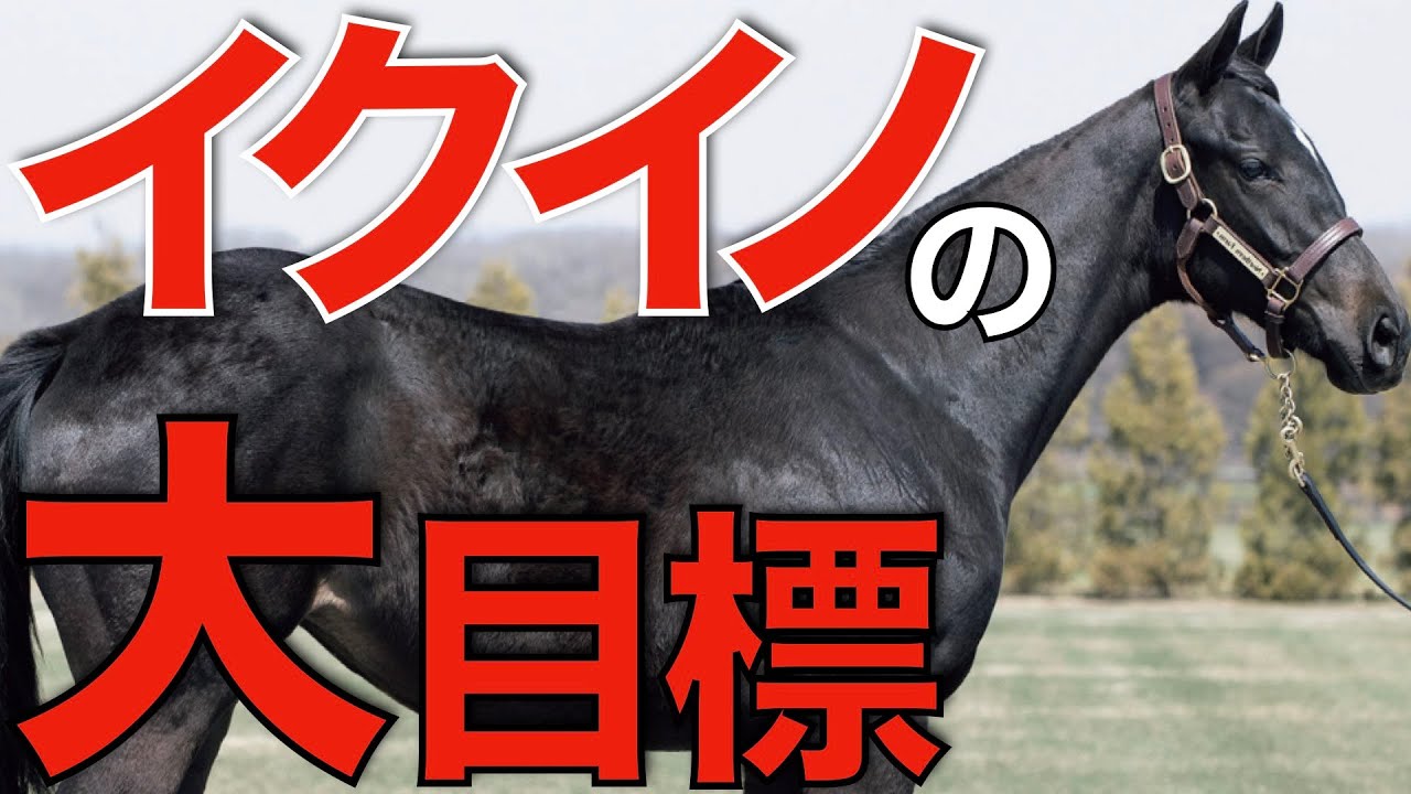 【世界が注目】最強馬イクイノックス、次のターゲットは凱旋門賞かBCか！？