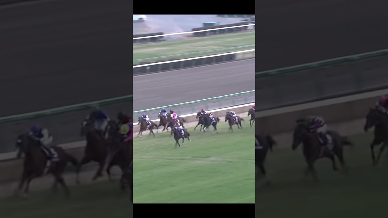 ディープインパクト有馬記念　#shorts