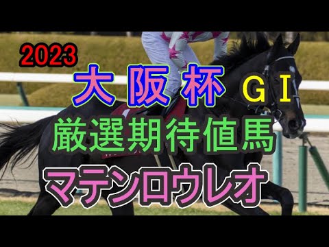 2023【大阪杯】厳選期待値馬マテンロウレオについてコメントして下さい