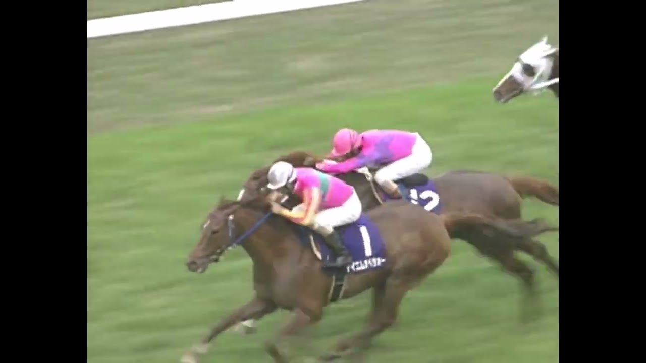 テイエムオペラオー 2001年 第123回天皇賞(春)(GI) (優勝馬：テイエムオペラオー)