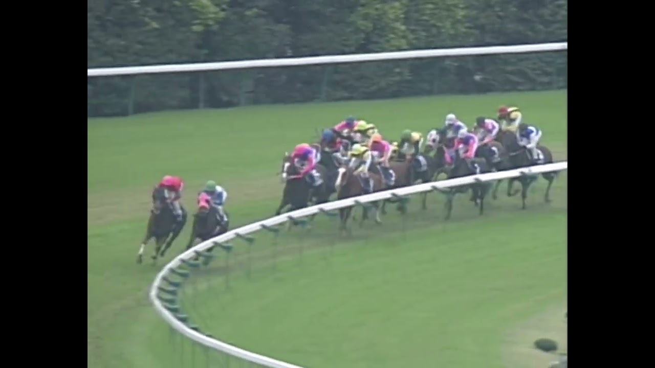 テイエムオペラオー 2000年 第122回天皇賞(秋)(GI) (優勝馬：テイエムオペラオー)