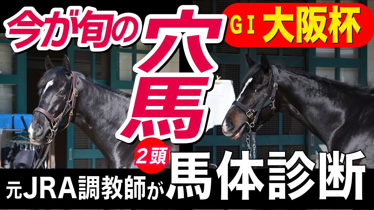 【大阪杯2023】元JRA調教師が馬体診断　馬体ランキング上位４頭をピックアップ　穴ならこの２頭！《東スポ競馬ニュース》