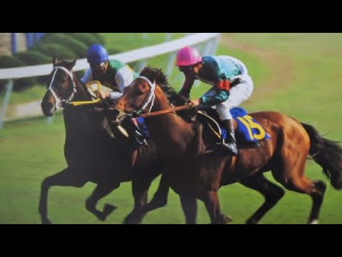 第９１回　天皇賞（春） （ＧⅠ）　シンボリルドルフ　牡４　58　岡部幸雄　1985.4.29　　出走馬：サクラガイセン、スズカコバン、ニシノライデン、ミスターシービー、ゴールドウェイ、シンブラウン他