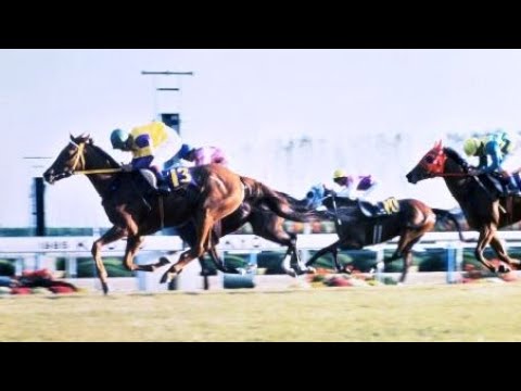 第１０回　エリザベス女王杯 （ＧⅠ）　リワードウイング　牝３　55　内田国夫　1985.11.3　　出走馬：アサクサスケール、ラッキーオカメ、ニホンピロビッキー、エルプス、ノアノハコブネ他