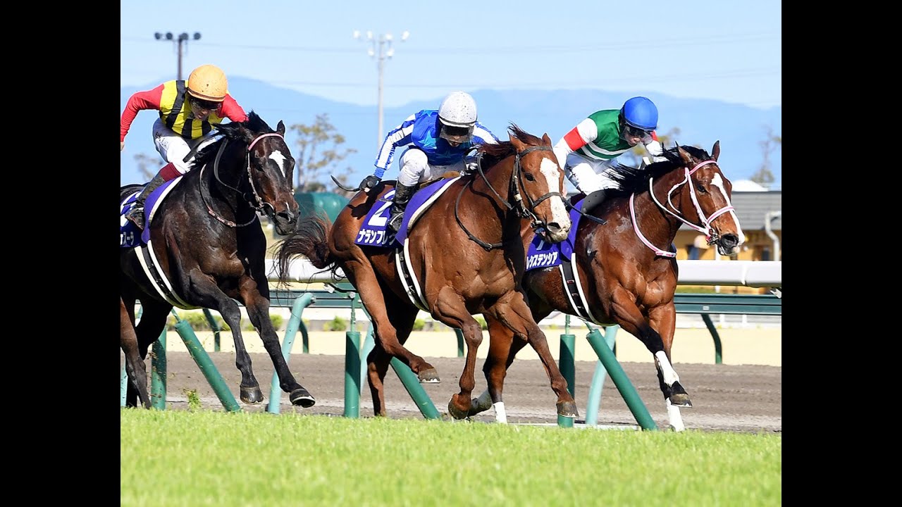 ３月５週　3/22　【枠連投資馬券塾】＃レース展望　＃高松宮記念　心の本命馬はピクシーナイト