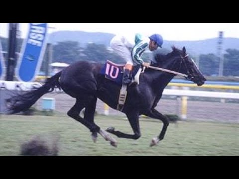 第４７回　優駿牝馬（オークス）（ＧⅠ）　メジロラモーヌ　牝３　55　河内洋　1986.5.18　　出走馬：ユウミロク 、ダイナアクトレス、ファーストマイテイ、ポットテスコレディ、スーパーショット他