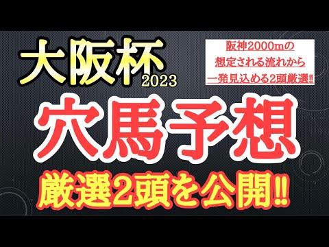 【大阪杯2023】穴馬予想！阪神内回りコースで想定する流れが合いそうな馬を選定！その馬たちとは！？