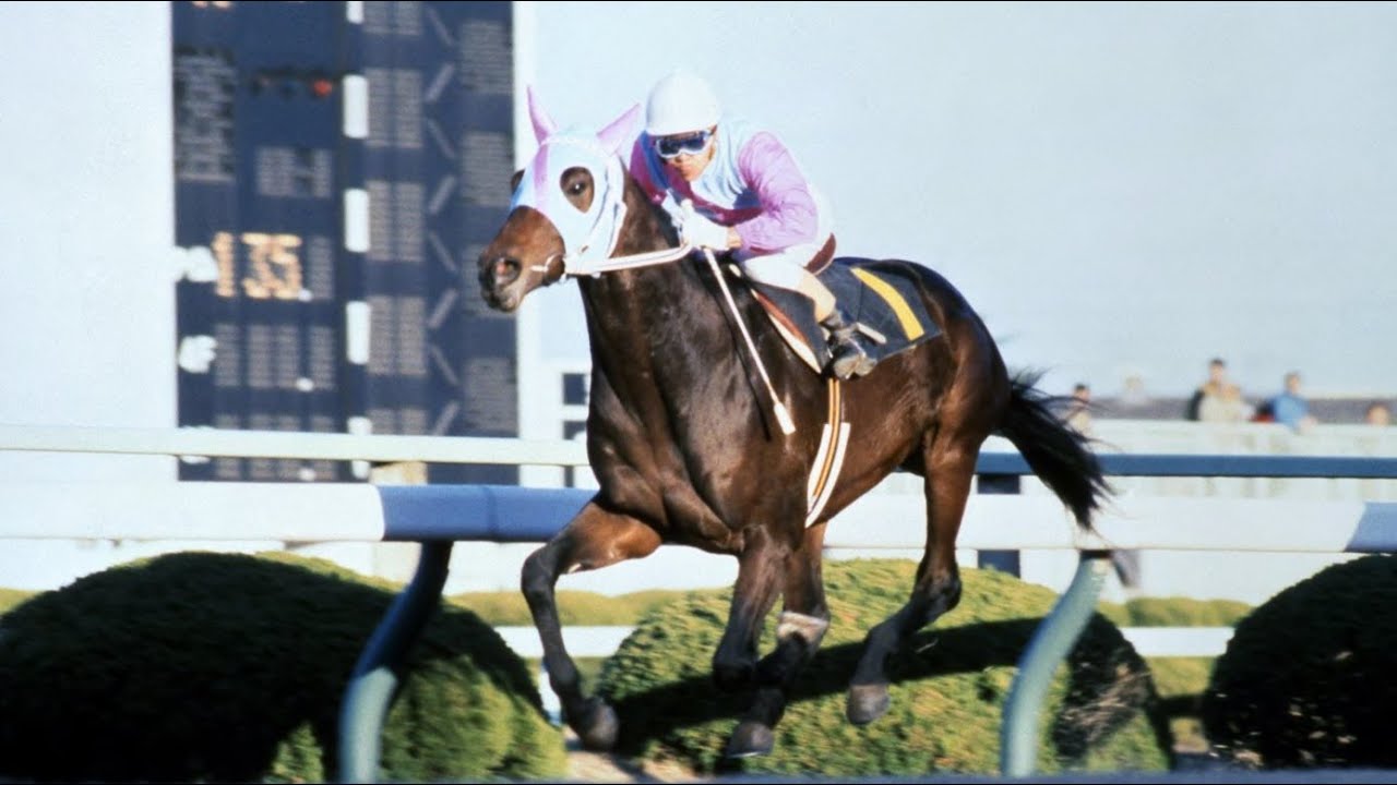第３７回　阪神３歳ステークス （ＧⅠ）　カツラギハイデン　牡２　54　西浦勝一　1985.12.15　　出走馬：ノトパーソ、ハギノビジョウフ、ヤマニンファルコン、ダイナオリンピア、キョウワシンザン他