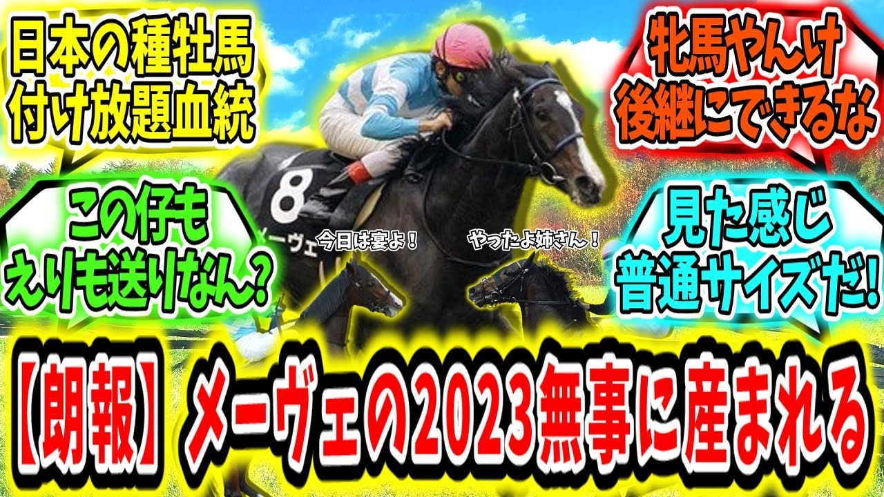 『【朗報】メーヴェの仔！無事に生まれる！』に対するみんなの反応【競馬の反応集】