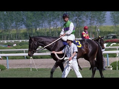 第９３回　天皇賞（春）（ＧⅠ）　クシロキング　牡４　58　岡部幸雄　1986.4.29　　出走馬：メジロトーマス、フリートホープ、スダホーク、ニューファンファン、サクラユタカオー、メジロモンスニー他