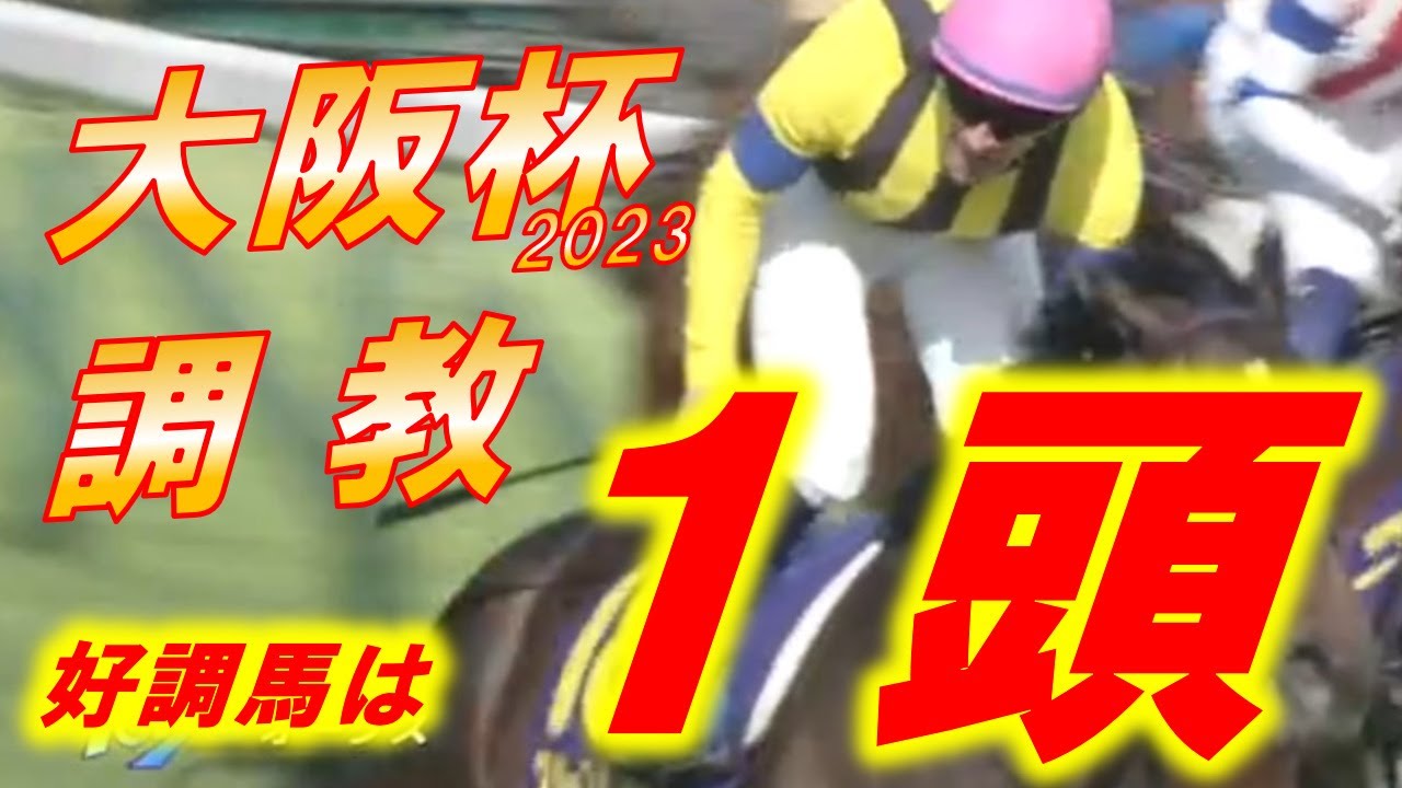 大阪杯2023　追い切り診断！！　強力メンバー集結！！　スターズオンアース、ジェラルディーナの評価は！？　※ダノンザキッド、ヒシイグアスは別動画となります　元馬術選手のコラム【競馬】