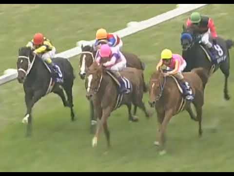 テイエムオペラオー 2000年 第121回天皇賞(春)(GI) (優勝馬：テイエムオペラオー) (実況：ラジオたんぱ)