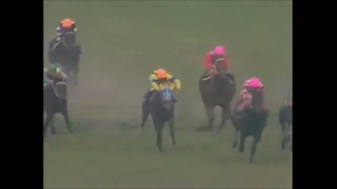 第３６回　安田記念 （ＧⅠ）　ギャロップダイナ　牡６　57　柴崎勇　1986.5.11　　出走馬：ホリノカチドキ、ロングハヤブサ、ドウカンヤシマ 、トーアファルコン、ブルーダーバン、タカラスチール他