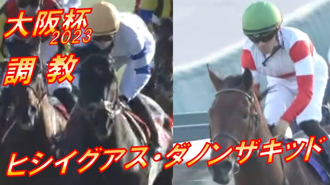 大阪杯2023　木曜追いヒシイグアス・ダノンザキッド追い切り診断！！　元馬術選手のコラム【競馬】
