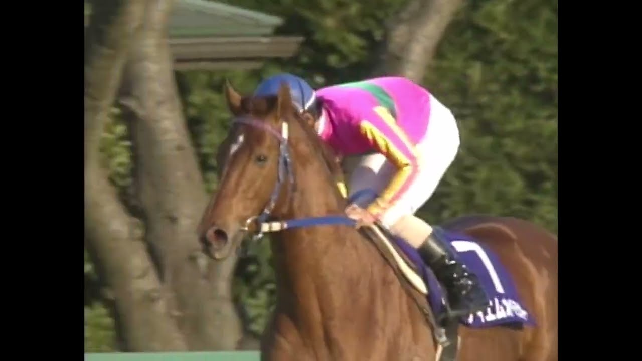 テイエムオペラオー 2000年 第45回有馬記念(GI) (優勝馬：テイエムオペラオー)