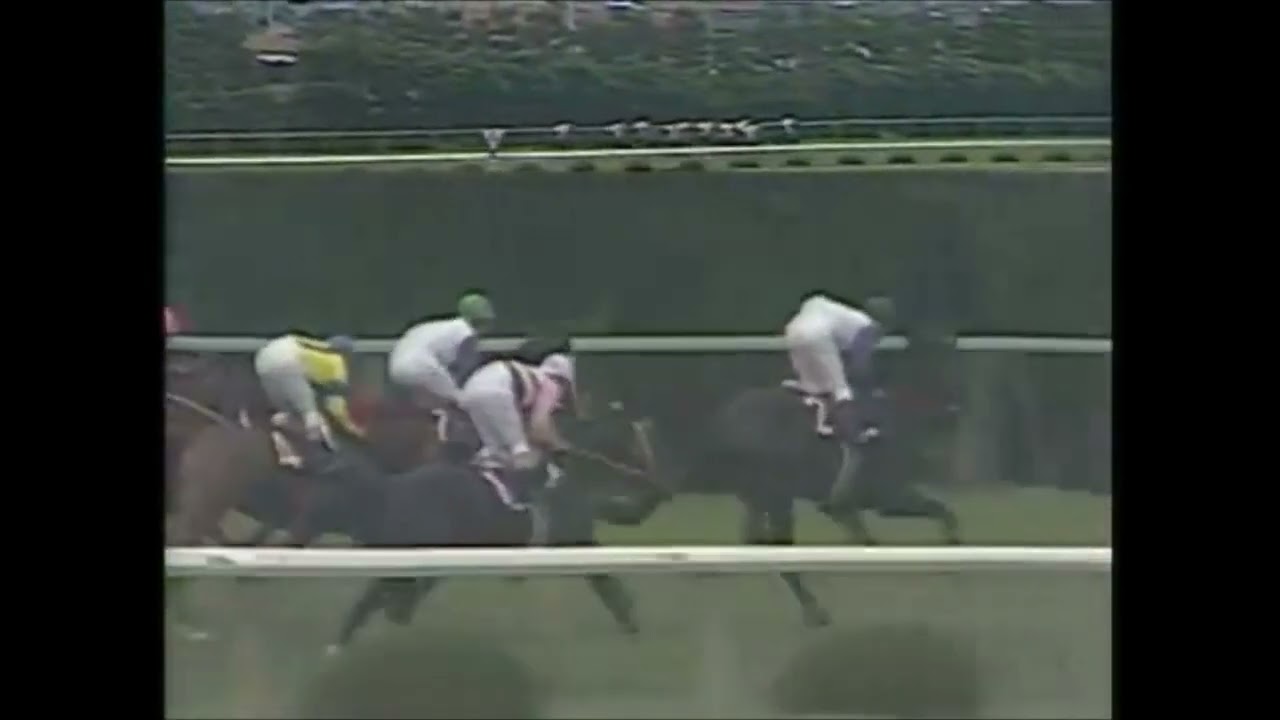 第２６回　宝塚記念 （ＧⅠ）　スズカコバン　牡５　57　村本善之　1985.6.2　　出走馬：サクラガイセン、ウインザーノット、ステートジャガー、ヤマノシラギク他　　　出走取消　シンボリルドルフ