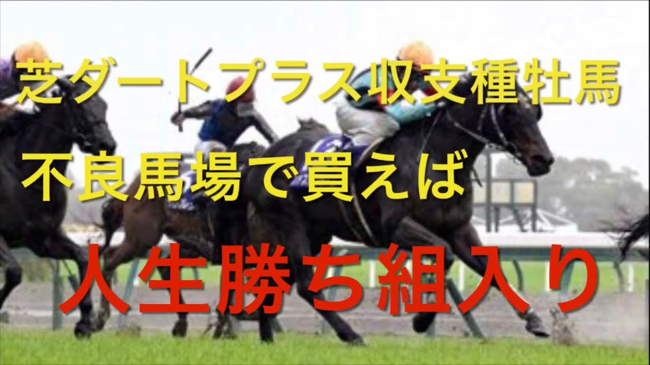 【競馬】芝ダート共にプラス回収率種牡馬。不良馬場でこそ輝く【競馬検証】