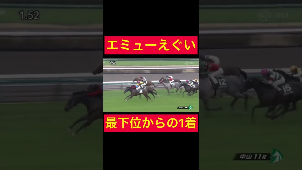 【フラワーＣ2023】エミュー最下位からの大逆転劇...