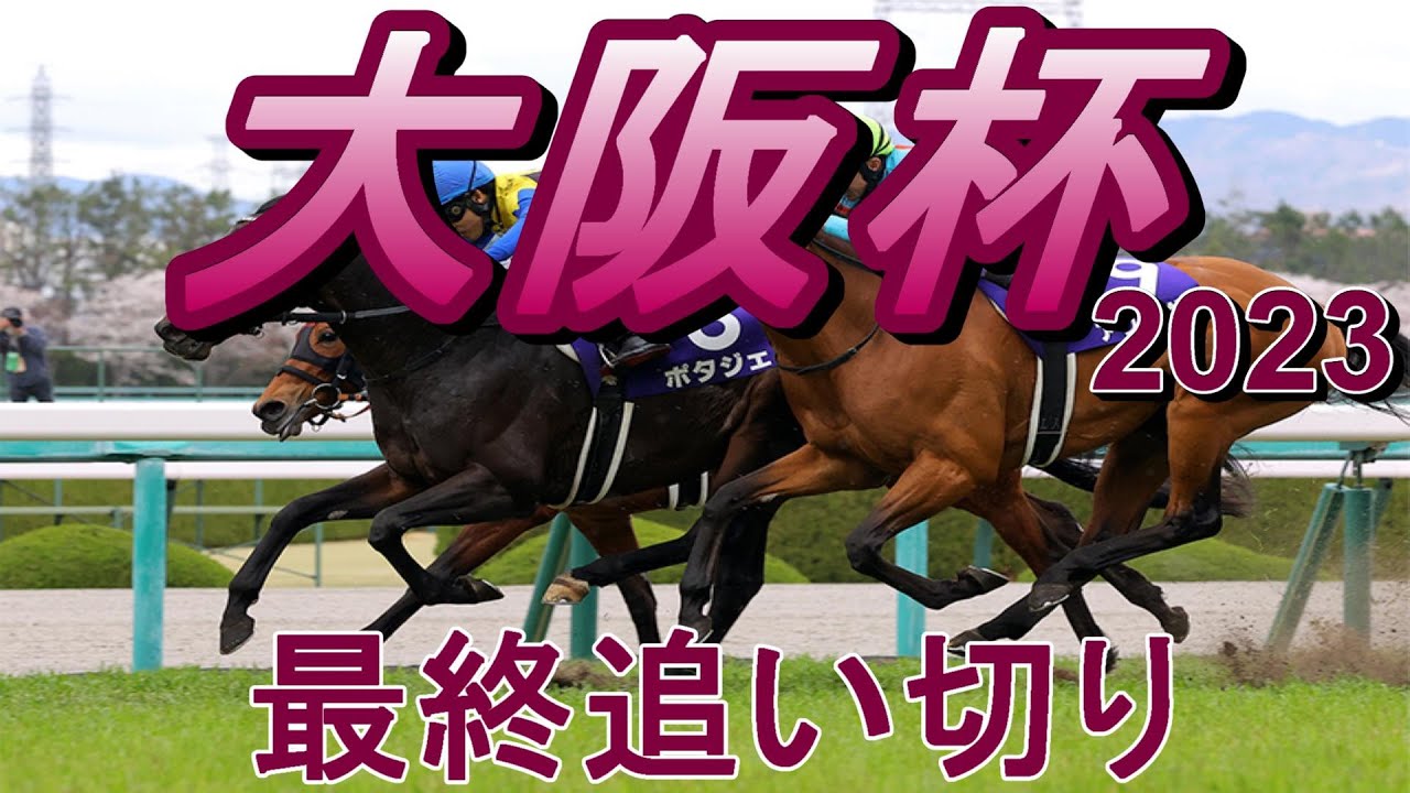 【大阪杯2023】第67回大阪杯最終追い切り(枠順確定)