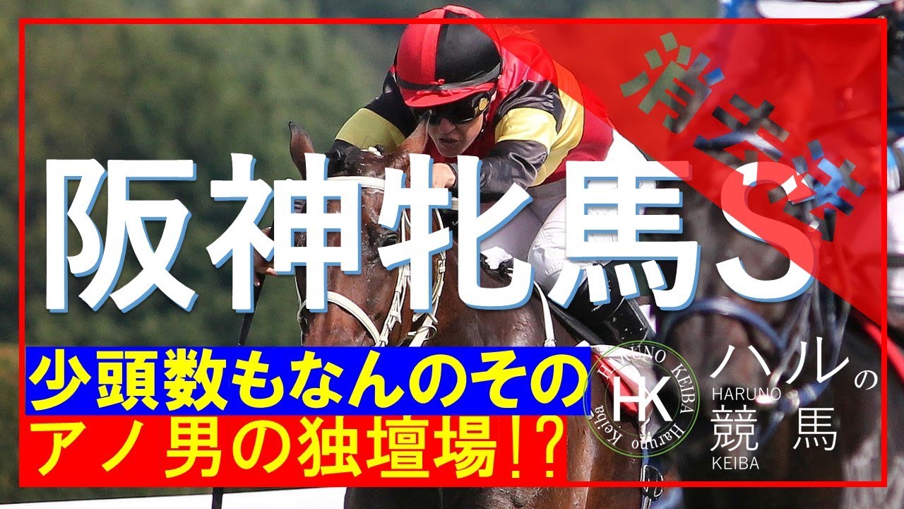 阪神牝馬ステークス2023　消去データ編！！今の馬場傾向にマッチする！？アノ男が桜花賞の前日も勝利か！？