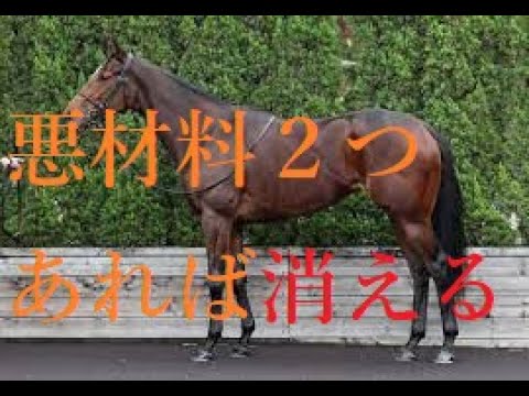 桜花賞 2023 リバティアイランド敗北あり 過去桜花賞で単勝１倍台多数凡走 １番人気が陥った落とし穴