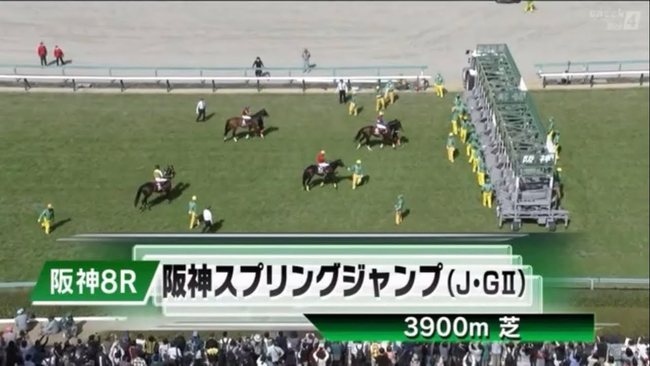 第25回阪神スプリングジャンプ(J･GⅡ)