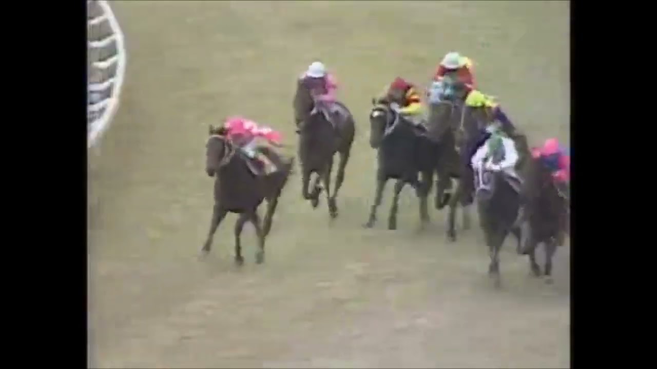 第３回　マイルチャンピオンシップ （ＧⅠ）　タカラスチール　牝４　55　田島良保　1986.11.16　　出走馬：ニッポーテイオー、ロングハヤブサ、セントシーザー、ダイナシュガー、リキサンパワー他