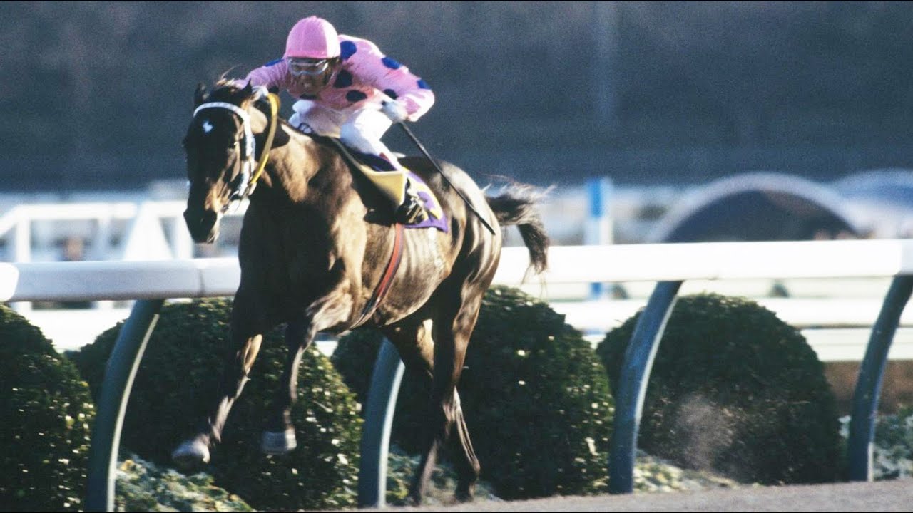 第２８回　有馬記念（グランプリ）　リードホーユー　牡３　55　田原成貴　1983.12.25　　出走馬：アンバーシャダイ、ダイナカール、メジロティターン、ビクトリアクラウン、 ハギノカムイオー 他