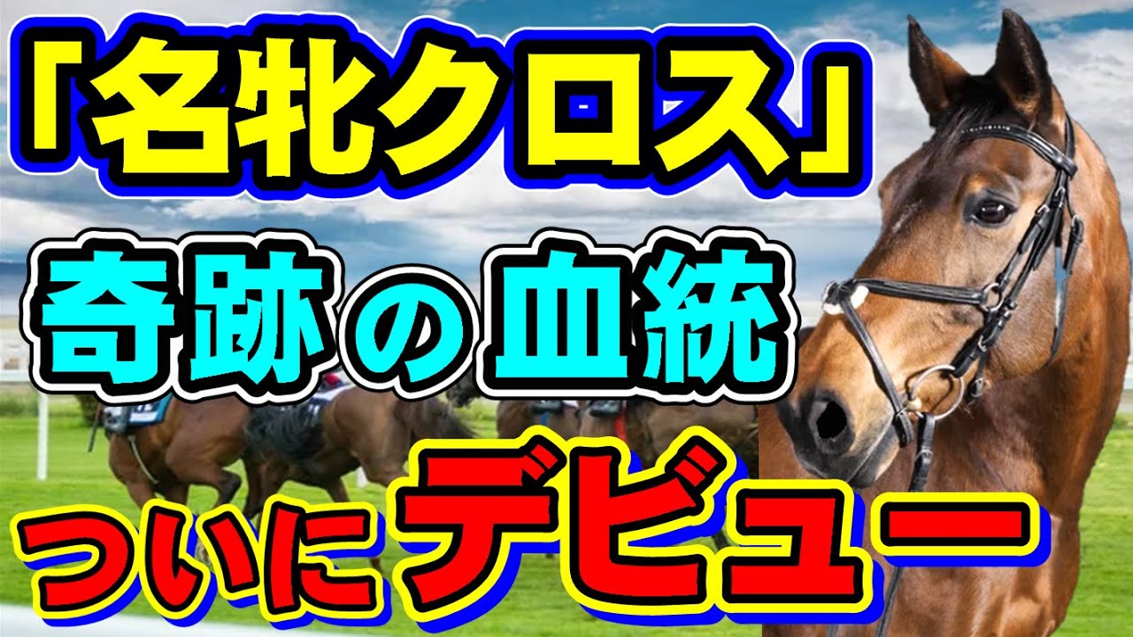 【夢の配合】ディープ母の強烈なクロスを持つ産駒デビュー！今年はこの血統から目が離せない