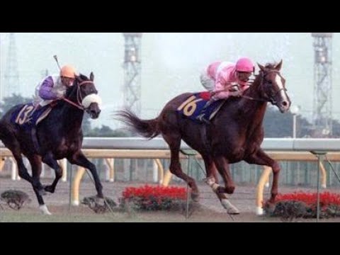 第９４回　天皇賞（秋）（ＧⅠ）　サクラユタカオー　牡４　58　小島太　1986.10.26　　出走馬：ウインザーノット、ミホシンザン、ギャロップダイナ、サクラサニーオー、スズカコバン、スダホーク他