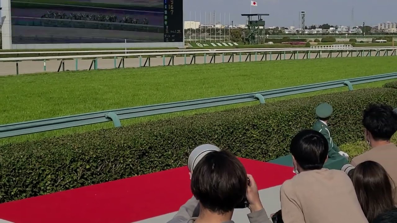 GⅠ 大阪杯 2023 現地映像 阪神競馬場にて