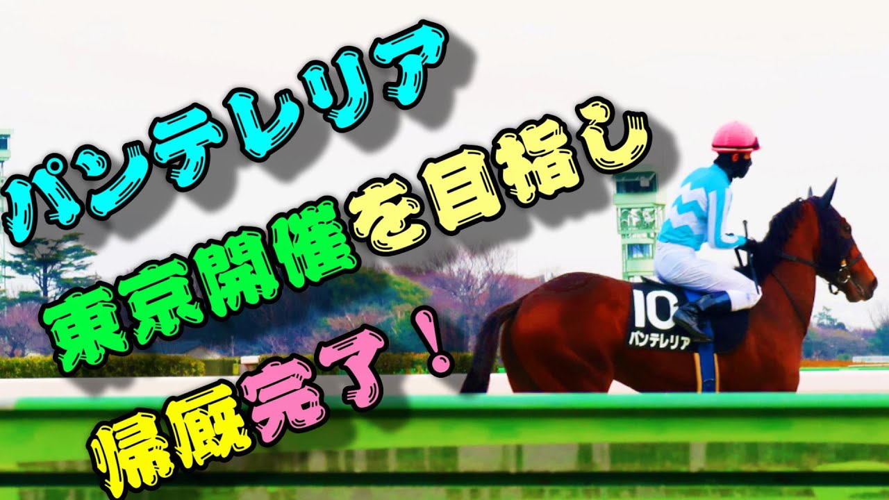 【一口馬主】パンテレリア、東京開催を目標に帰厩完了！-復帰に向けた最終関門へ-【ノルマンディーOC】