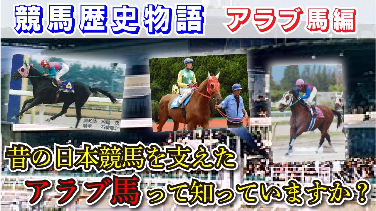 【競馬歴史物語】みなさん「アラブ馬」ってご存知ですか？これを知らなければ日本の競馬は語れない！？