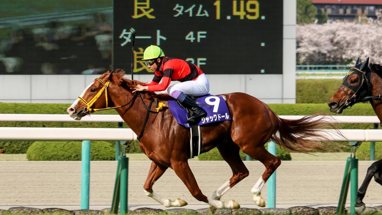 【現地】大阪杯 ジャックドール ターフビジョン前最前列