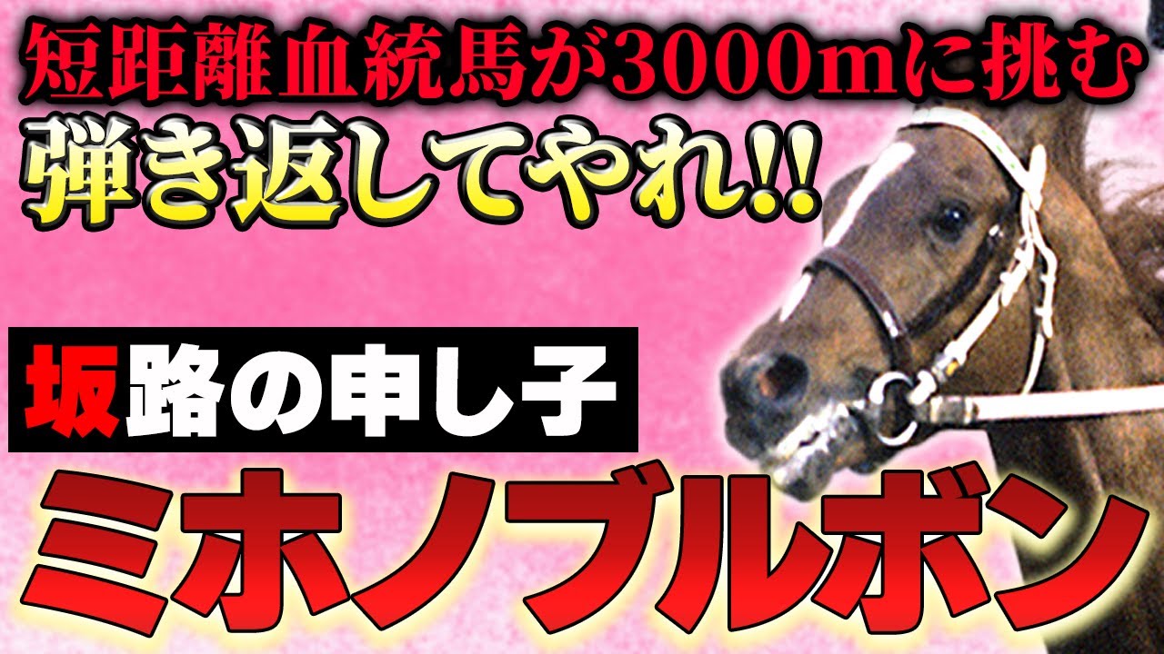 【競馬】スパルタ調教師が人生最後に出会った宝石の原石が「距離の壁」に挑む!・ミホノブルボン