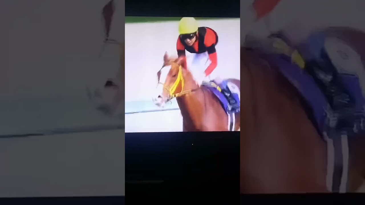 大阪杯を勝った[武豊]カメラにサインとサイン(競馬・ジャックドール)