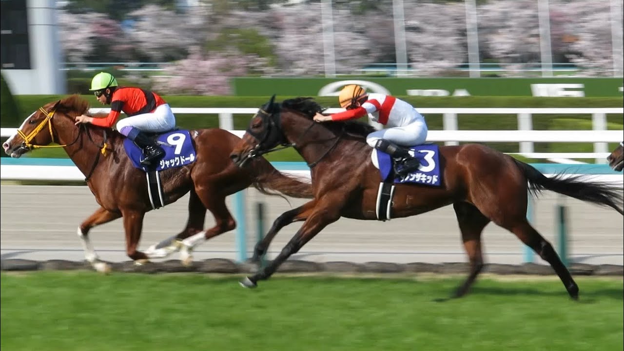 2023.04.02　ＧⅠ大阪杯　勝ち馬ジャックドール　阪神11Ｒ　芝2000m