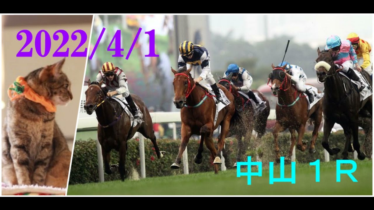 2023/4/1　中山１レース　枠順確定