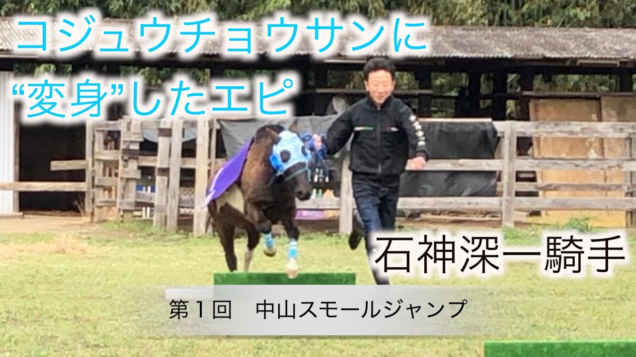 コジュウチョウサンの中山スモールジャンプ