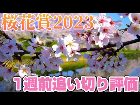 桜花賞2023 一週前追い切り評価