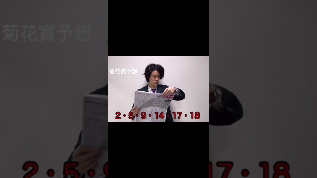 忙しい人の為の粗品競馬予想集🏇　2022菊花賞！