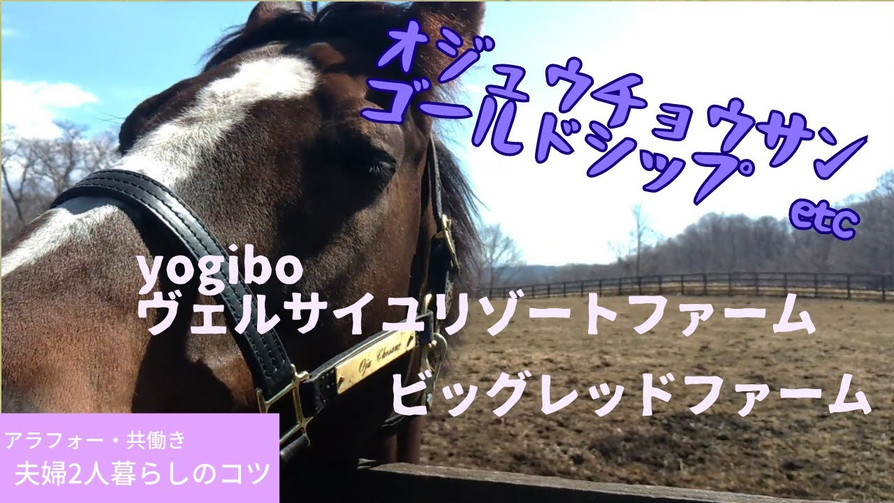【馬旅】そうだ！オジュウチョウサンとゴールドシップに会いに行こう！
