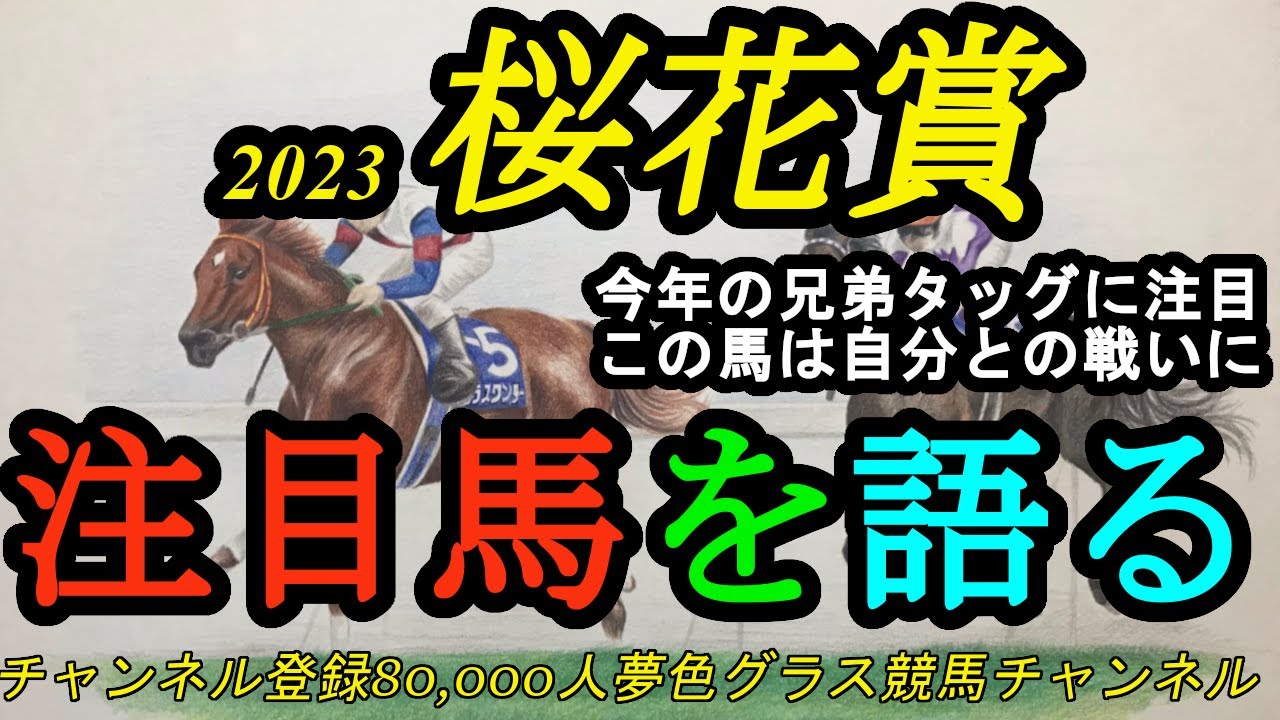 【注目馬を語る】2023桜花賞！今年も兄弟タッグに大注目！そしてこの馬は自分との戦いに！