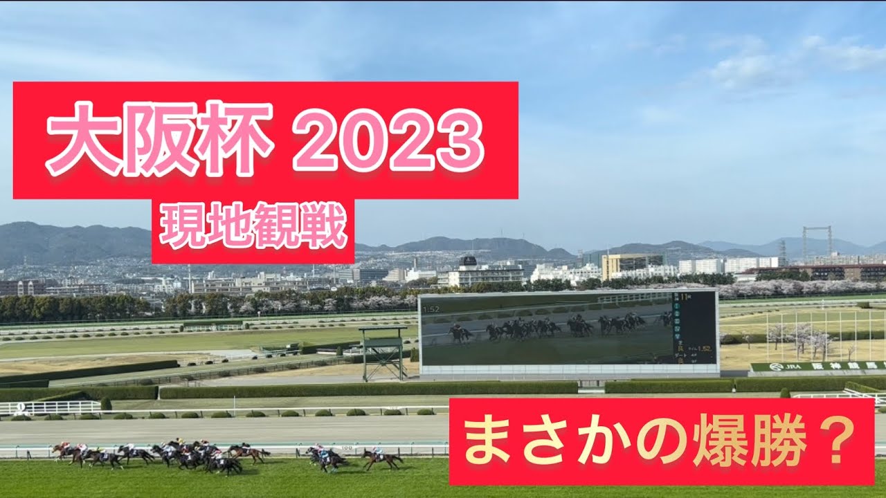 【大阪杯 2023】大阪杯現地観戦！阪神競馬場を1日楽しんだら最高やったお話 #ぽんまる競馬 #競馬 #jra #馬券勝負 #大阪杯2023 #大阪杯 #阪神競馬場 #春の阪神競馬場